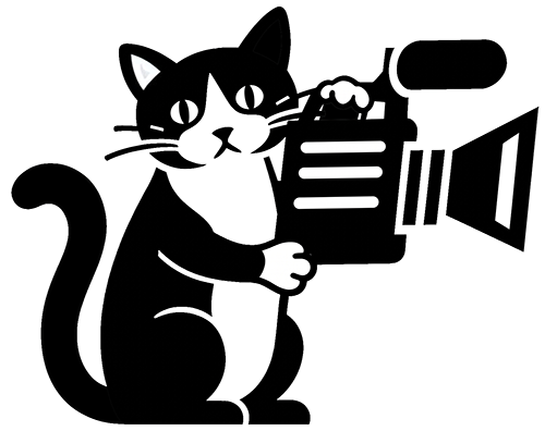 Iwaly CameraCat - Learn more about Sylvain Tesseyre