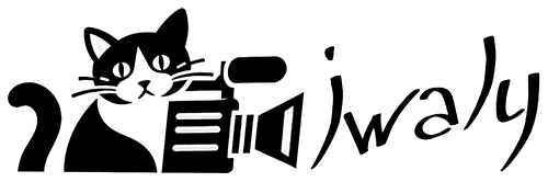 Logo Iwaly